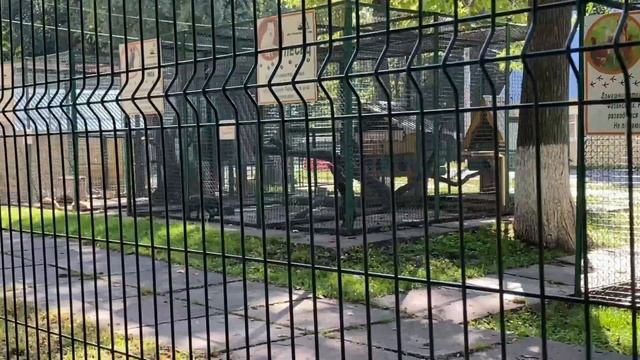 ВЛОГ ✨: ПОКУПКИ для новорожденного WILDBERRIES | OZON | RICHE , Бьюти-процедуры ? смотреть онлайн