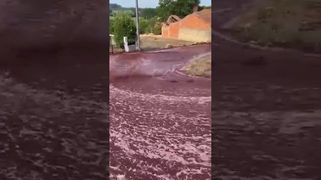 ⚡⚡Река из вина образовалась в португальском городке Анадия?.