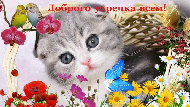Доброго утречка всем! Музыкальная открытка с пожеланием доброго утра, хорошего дня. смотреть онлайн