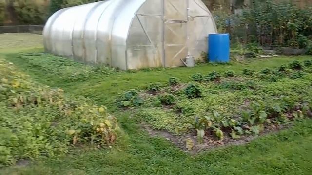 НА ДЕНЬ РОЖДЕНИЯ К СОСЕДКЕ.ЖАРИМ ШАШЛЫК. смотреть онлайн