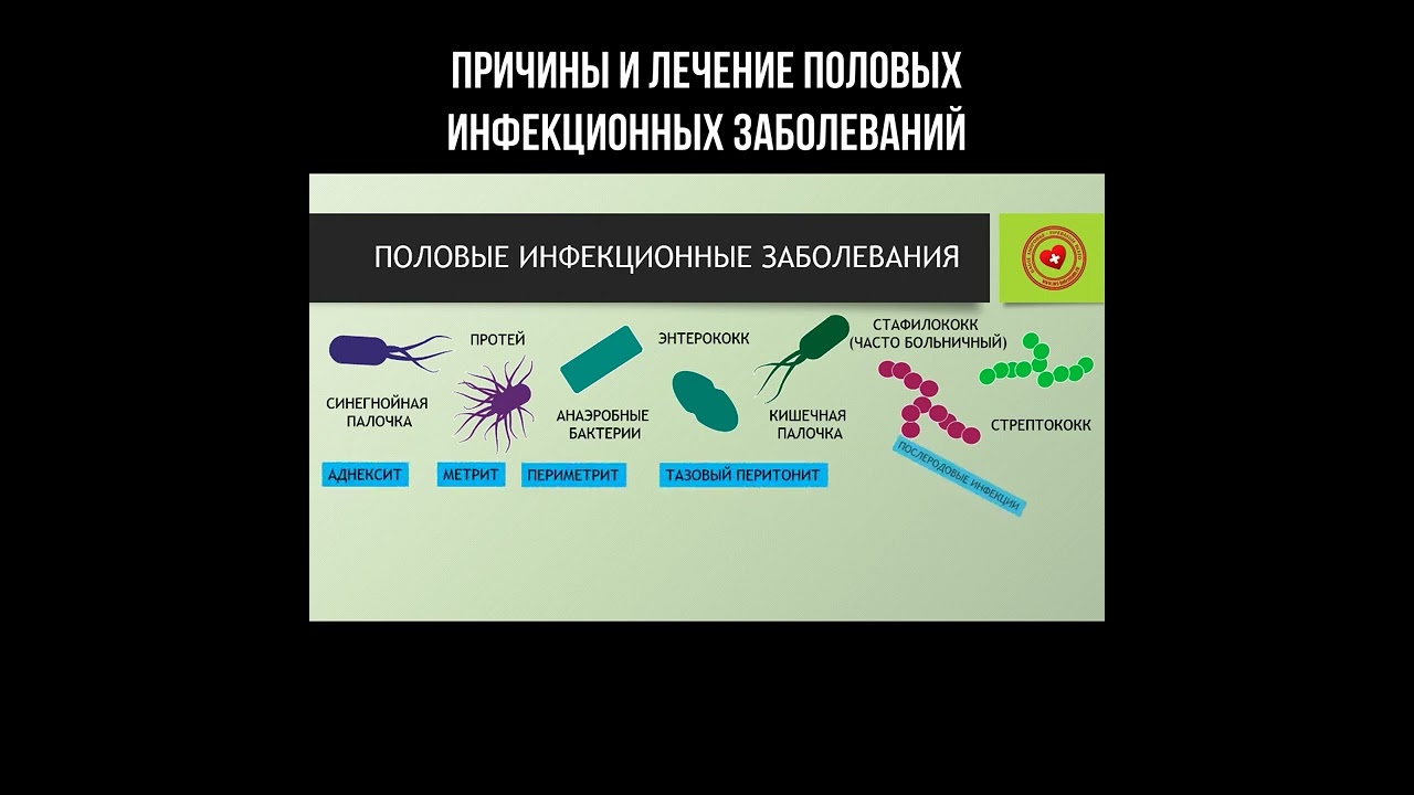 Что лечит пол. Половые инфекционные заболевания. Лекарство от половых инфекций.