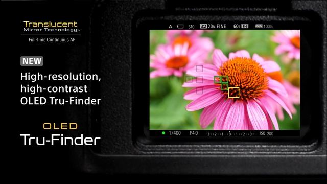 Sony Alpha A58 Concept Video (HD) смотреть онлайн