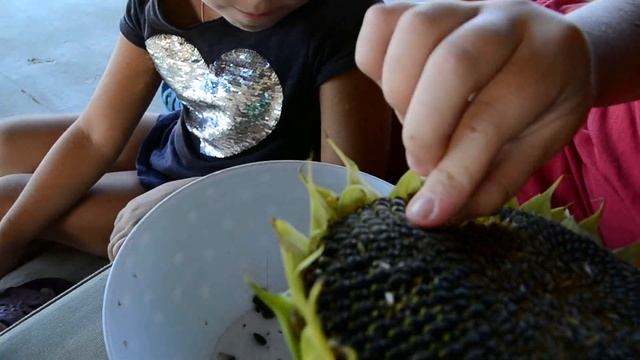 Сидим, болтаем.... смотреть онлайн