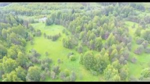 Умирающие деревни Костромской области д.Пустынь