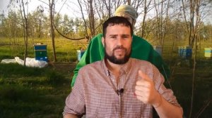 Роение пчел. Причины роения пчел на пасеке. Простой способ вывода пчел из роевог