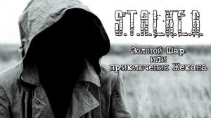 ЗОЛОТОЙ ШАР. ЗАВЕРШЕНИЕ - Жук в муравейнике (рюкзак на Агропроме) "Аксу дырокол"