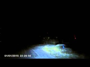 Вечер 19.11 - из леса - домой.