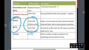 GIT/ Session 4-part1/ Function of stomach and Gastric secretion/ By Hasan Murphy