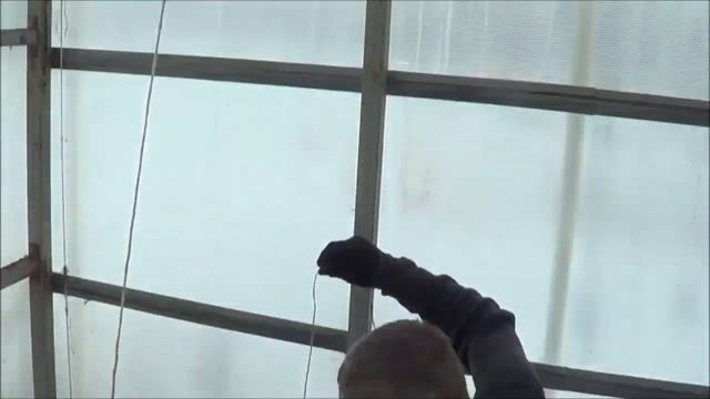 БТЧ1 Посадка Перца с Биогумусом Ткаченко и Вермикомпостом Николая и Ирины смотреть онлайн