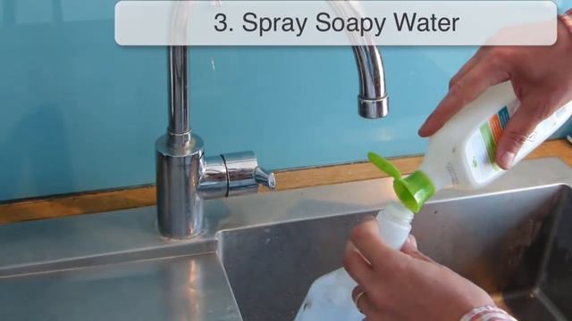 Dealing With Aphids: Pest Control Tips & How To Protect Your Plants смотреть онлайн