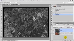 Как быстро улучшить качество фотографии | Работа с главным объектом съемки в фотошопе