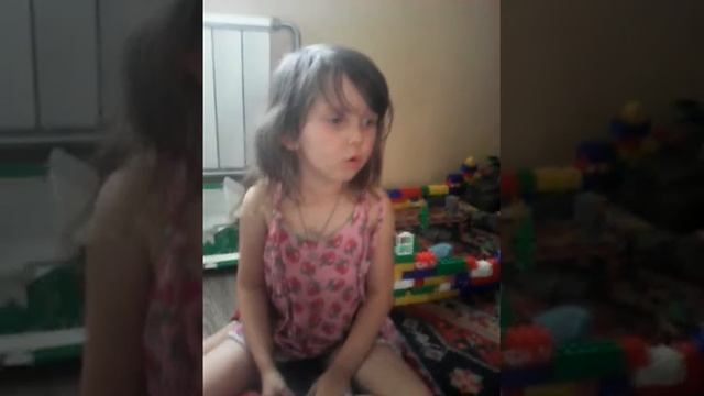 Как нельзя мыть кошку