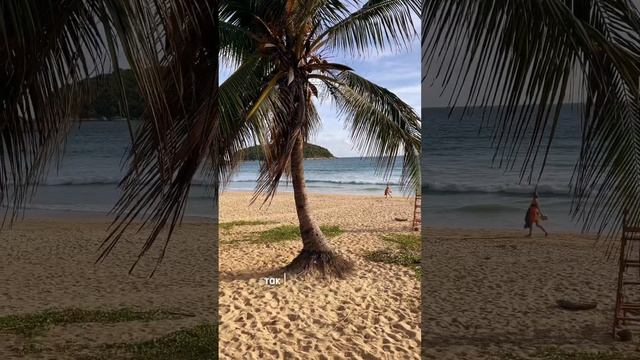 как самостоятельно заказывать из-за границы я рассказываю в разделе Видео #автозапчасти #запчасти смотреть онлайн