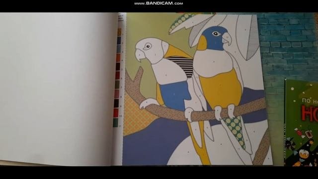 Новые раскраски с Book24 почти даром/ Листаю раскраску Новогоднее чудо