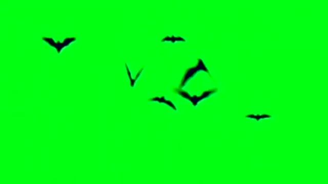 Footages Halloween ?(летучие мыши)//Футажи Хеллоуин ? смотреть онлайн