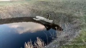 Рыба бросается в трубу. Кабырдак. Тюкалинский район. Рыбалка на паук-подьемник. Рыбалка в Омской об