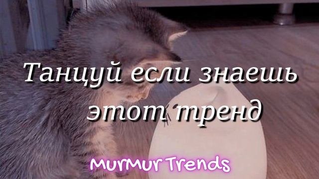 ?ТАНЦУЙ ЕСЛИ ЗНАЕШЬ ЭТОТ ТРЕНД?, а какие тренды ты знал? #тренды2023 #трендытикток