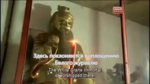 стиль белого журавля