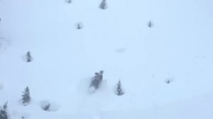 Polaris 9R RMK Khaos 155 Slash, модель 2024 г. Покупка снегохода из Скандинавии (Швеция).