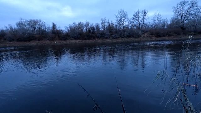 Рыбалка на поплавок в ноябре!Дикая рыбалка на удочку на реке! смотреть онлайн