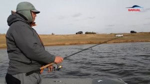 Narval Commander Shad 16 см