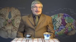 С.Савельев. Перспективы человечества.mp4