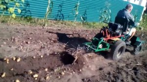 Копаем картофель мотоблоком с переднем адаптером