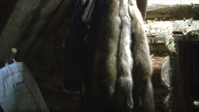 3 Часть Тайга/Промысел