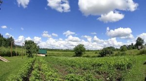 SONY HDR-AS50  Пример съёмки  video   снимал  полдня 900 кадров видео  и за 35 секунд просмотр