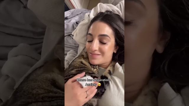 Clingy Cat Compilation (Part One) смотреть онлайн