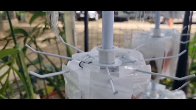 PERGI KE PAMERAN TANAMAN ANTHURIUM DI GODONG IJO SAWANGAN DEPOK смотреть онлайн