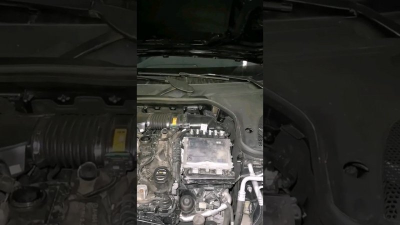 Проблема дизельных моторов Mercedes Benz OM654 OM656 Мастерская Мерседес