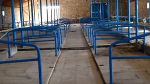 Строительство фермы КРС на 220 голов 5-я часть