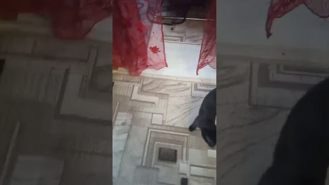 Осваиваем уютную квартиру | Уголек