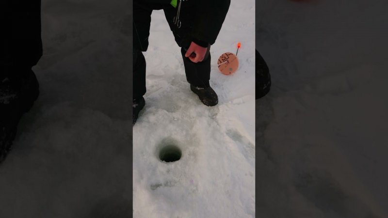 И снова зелёный сыр