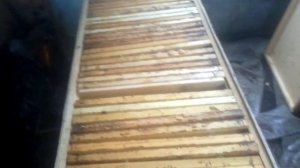 Как и где я храню рамки с сушью и с мёдом.