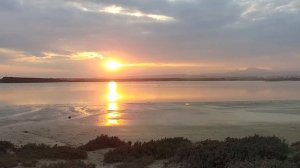 Larnaca Salt Lake