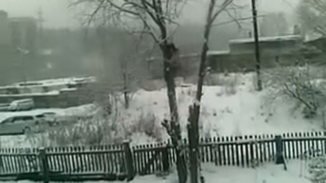 2009.11.04 - Спасение кота... смотреть онлайн