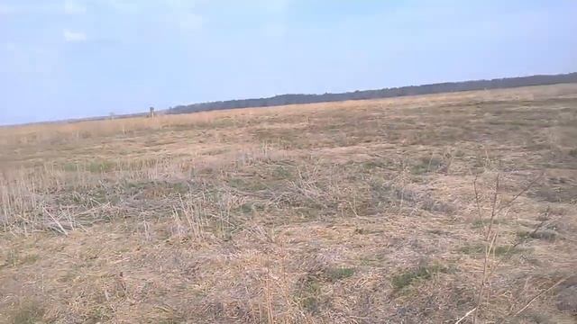 Нашли заброшенную деревню. смотреть онлайн