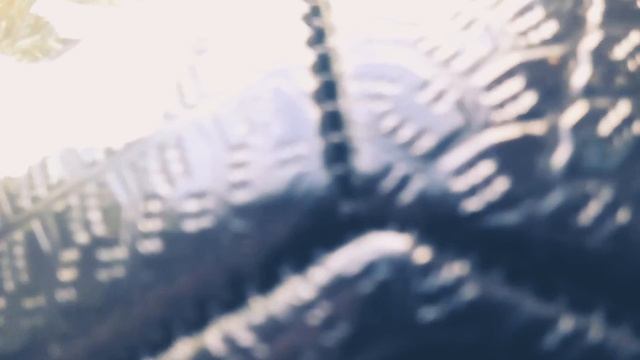 Обзор:Мяч из коллекции Роналдиньо смотреть онлайн