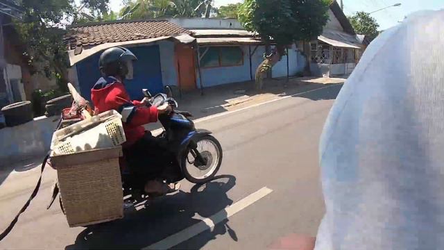 Паром с Бали на Яву. Настоящая Индонезия #6 смотреть онлайн