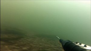 Подводная охота на хариуса и налима Енисей г. Красноярск 2014