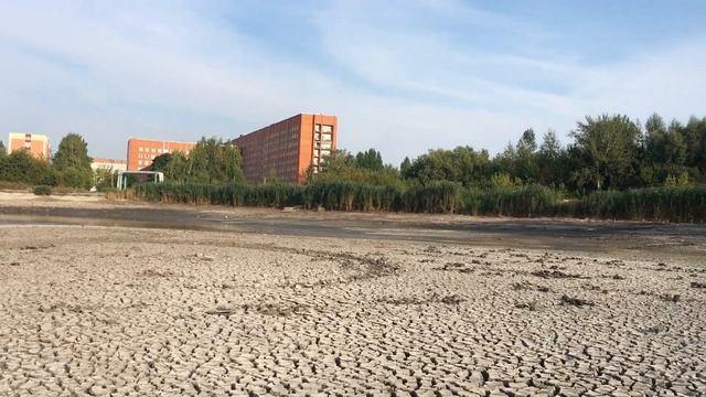 #пенза #пруд #2022 #спуск #воды #чистка #дно #арбеково #запрудный #лето #жара #вода #птицы #чомга смотреть онлайн