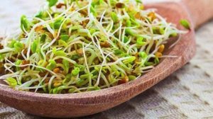 Продукты для улучшения зрения в домашних условиях | Полезная еда для глаз