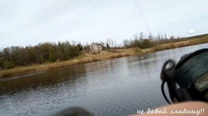 река Луга, ловим сырть, Кингисепп, ранняя весна 2020