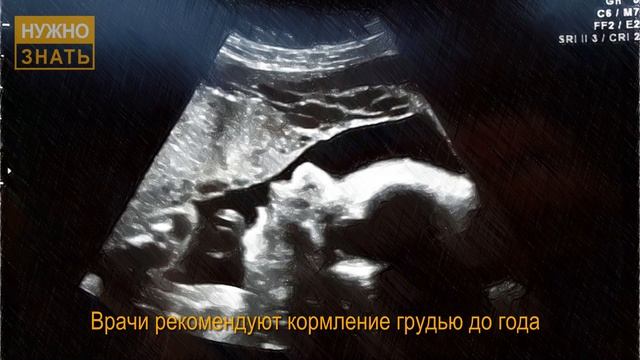 37 неделя беременности. Развитие плода. УЗИ в 3D и 4D Что чувствует беременная. Как выглядит ребено