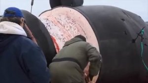 Разделка Мясо Огромного Кита