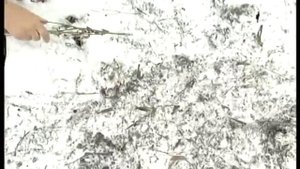 Обновление почвы в теплице