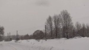 Охота с Добычем 01 02 2022