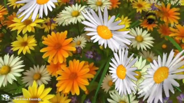 Одной тобою я живу - С юбилеем Натали смотреть онлайн